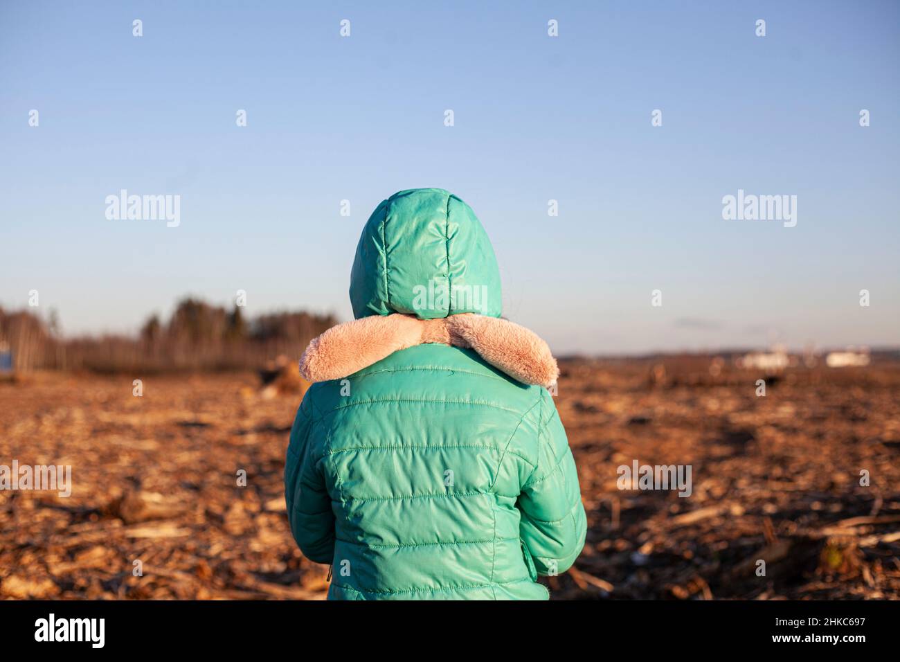 Ein Kind in einem Waldschlag. Stockfoto