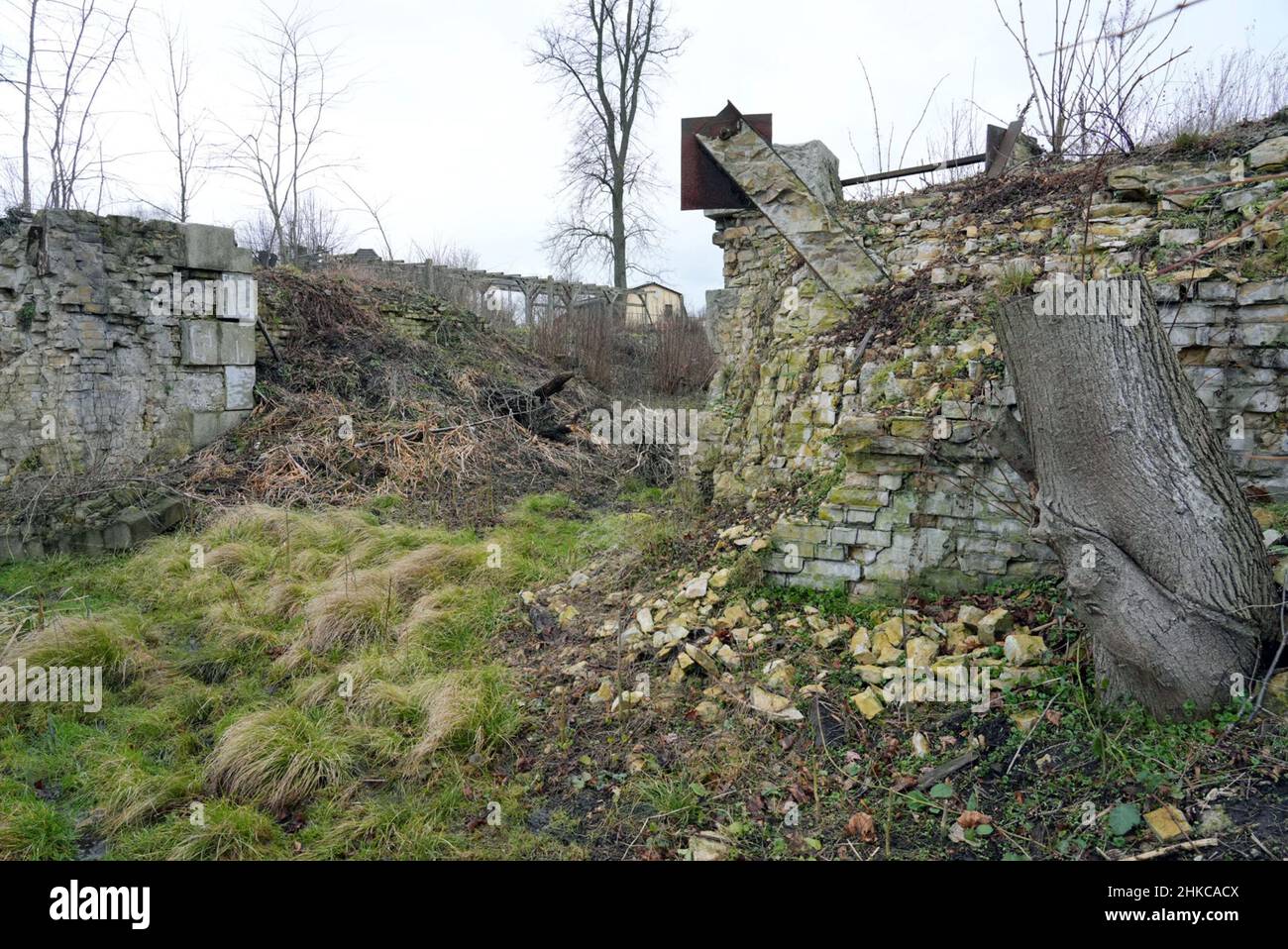 02. Februar 2022, Brandenburg, Oranienburg: Neben den Mauerresten steht am Rande der Schlossbaustelle Friedensthal ein Baumstumpf. Nach Angaben der Stadt handelt es sich bei der aktuellen Rekonstruktion der Schleuse, die 1879 erbaut und 1959 stillgelegt wurde, um ein einzigartig umfangreiches Infrastrukturprojekt, das im vergangenen Jahr mit der Räumung von Sprengkörpern begonnen hatte. Nach dem Abriss soll bis Herbst 2023 eine komplett neue Schleuse gebaut werden. Damit wird der Hafen von Oranienburg mit den Ruppiner Gewässern verbunden, was insbesondere dem Wassertourismus zugute kommen soll. Foto: Soeren Sache/dpa-Zentralbild/ZB Stockfoto