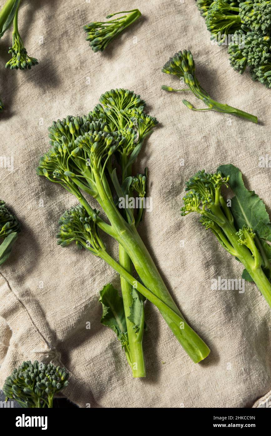 Rohes Bio frisches Broccolini Gemüse bereit zum Kochen Stockfoto