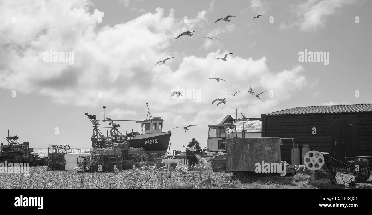 Möwen über Fischern am Strand von Aldeburgh, Stockfoto