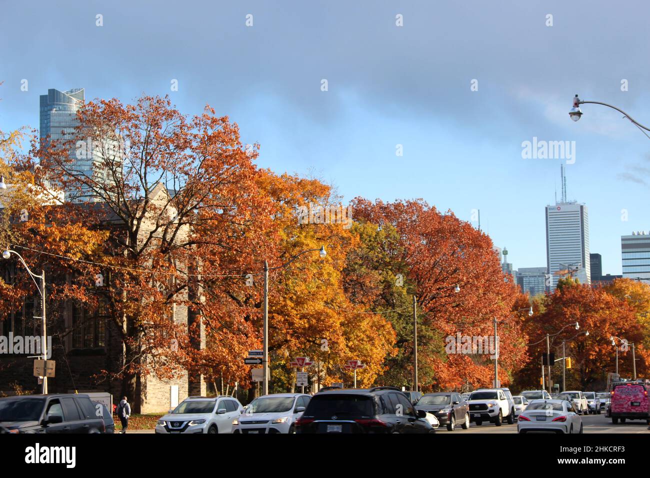 Árboles en otoño Stockfoto