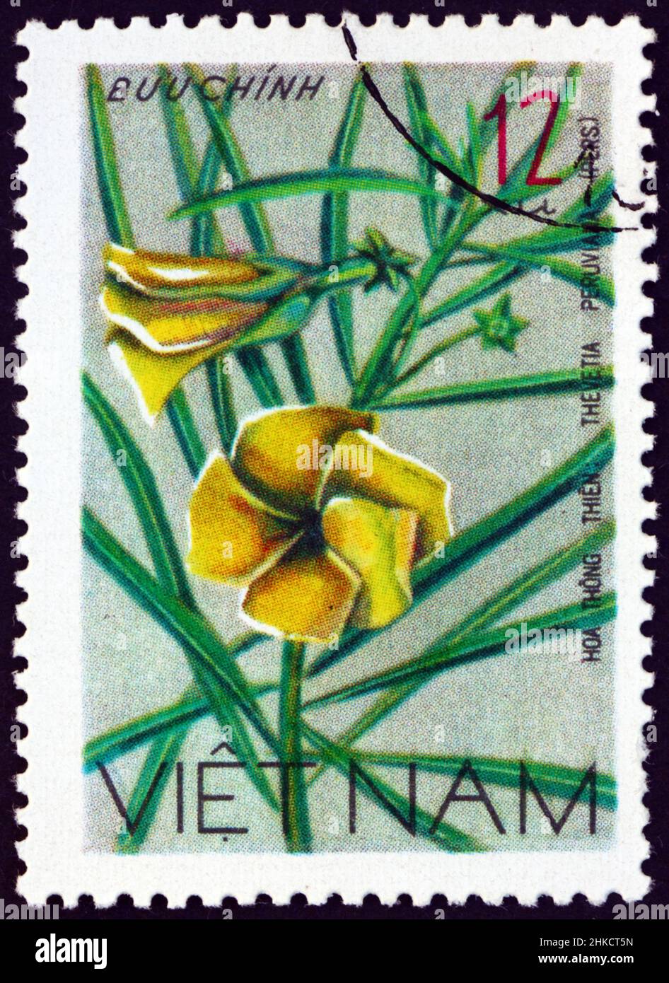 VIETNAM - UM 1977: Eine in Vietnam gedruckte Marke zeigt den gelben Oleander, thevetia peruviana, eine giftige Pflanze, Wildblume, um 1977 Stockfoto