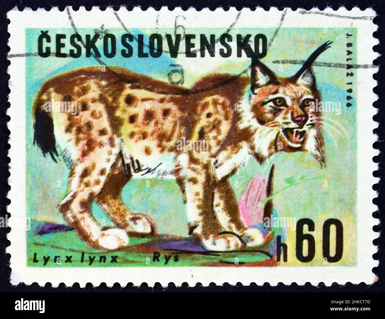 TSCHECHOSLOWAKEI - UM 1966: Eine in der Tschechoslowakei gedruckte Marke zeigt den eurasischen Luchs, den Luchs, eine mittelgroße Wildkatze, die in Europa und Asien beheimatet ist, Stockfoto