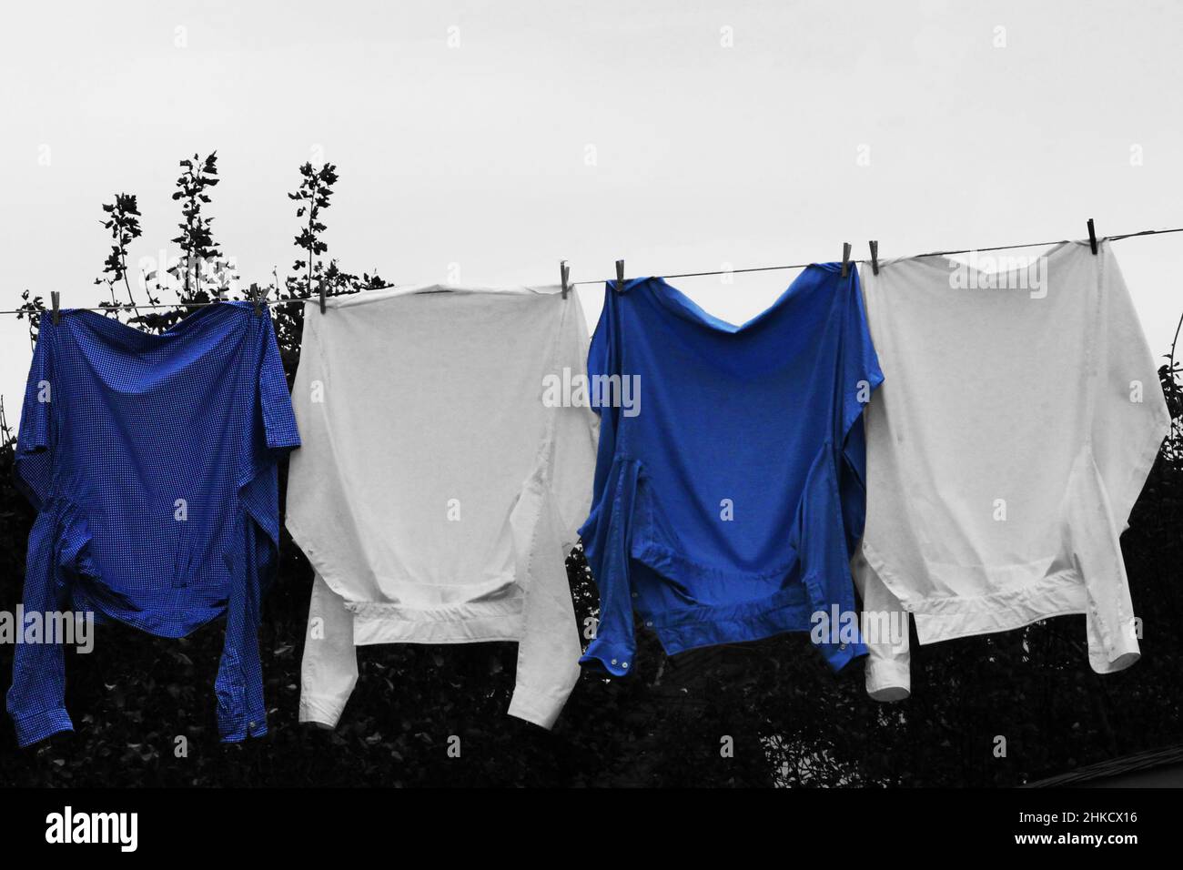 Nahaufnahme von vier Hemden auf einer Wäscheleine. Zwei blaue Hemden in Farbe, der Rest des Bildes ist Schwarz und Weiß. Stockfoto