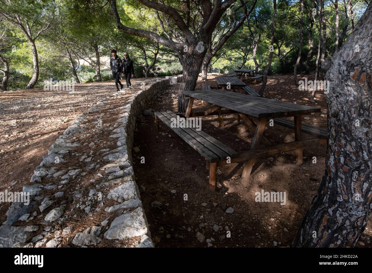 Erholungsgebiet Na Miranda, Naturpark Sa-Baia, Mallorca, Balearen, Spanien Stockfoto