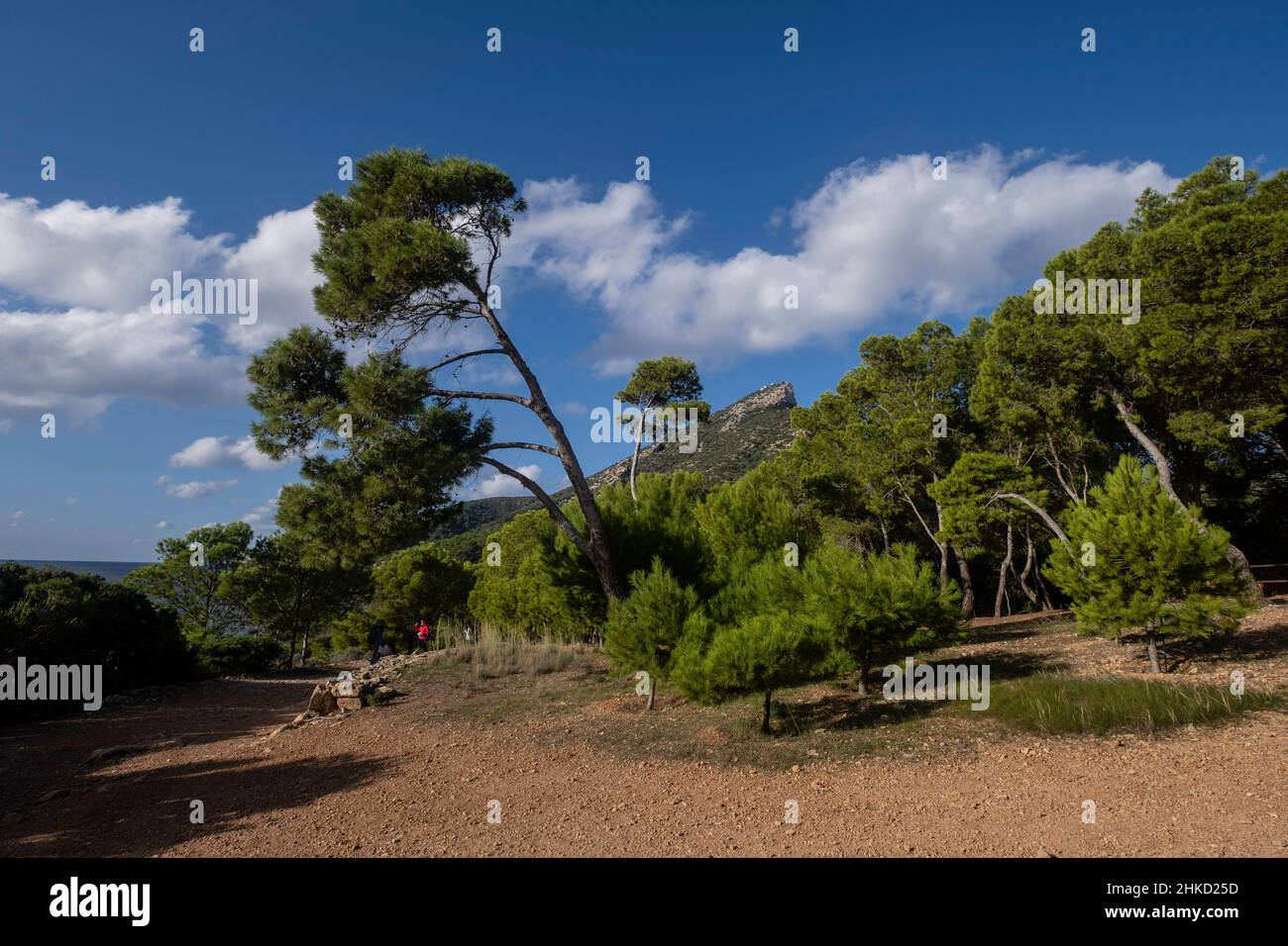 Erholungsgebiet Na Miranda, Naturpark Sa-Baia, Mallorca, Balearen, Spanien Stockfoto