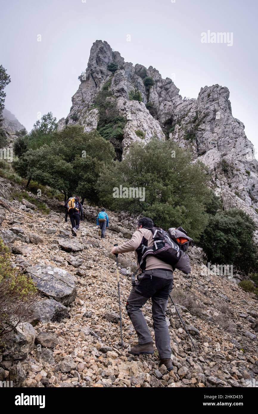 Aufstieg auf den Sporn von Xaragal De Sa Camamilla, Mallorca, Balearen, Spanien Stockfoto