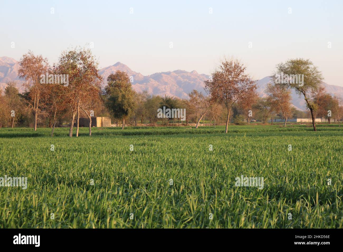 Schöne Berglandschaft in Punjab Pakistan Stockfoto