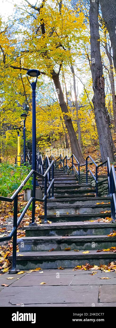 Panorama-Vertikalfoto der Stufen im Herbst mit bunten Herbstblättern. Fotos im vertikalen Format. Stockfoto