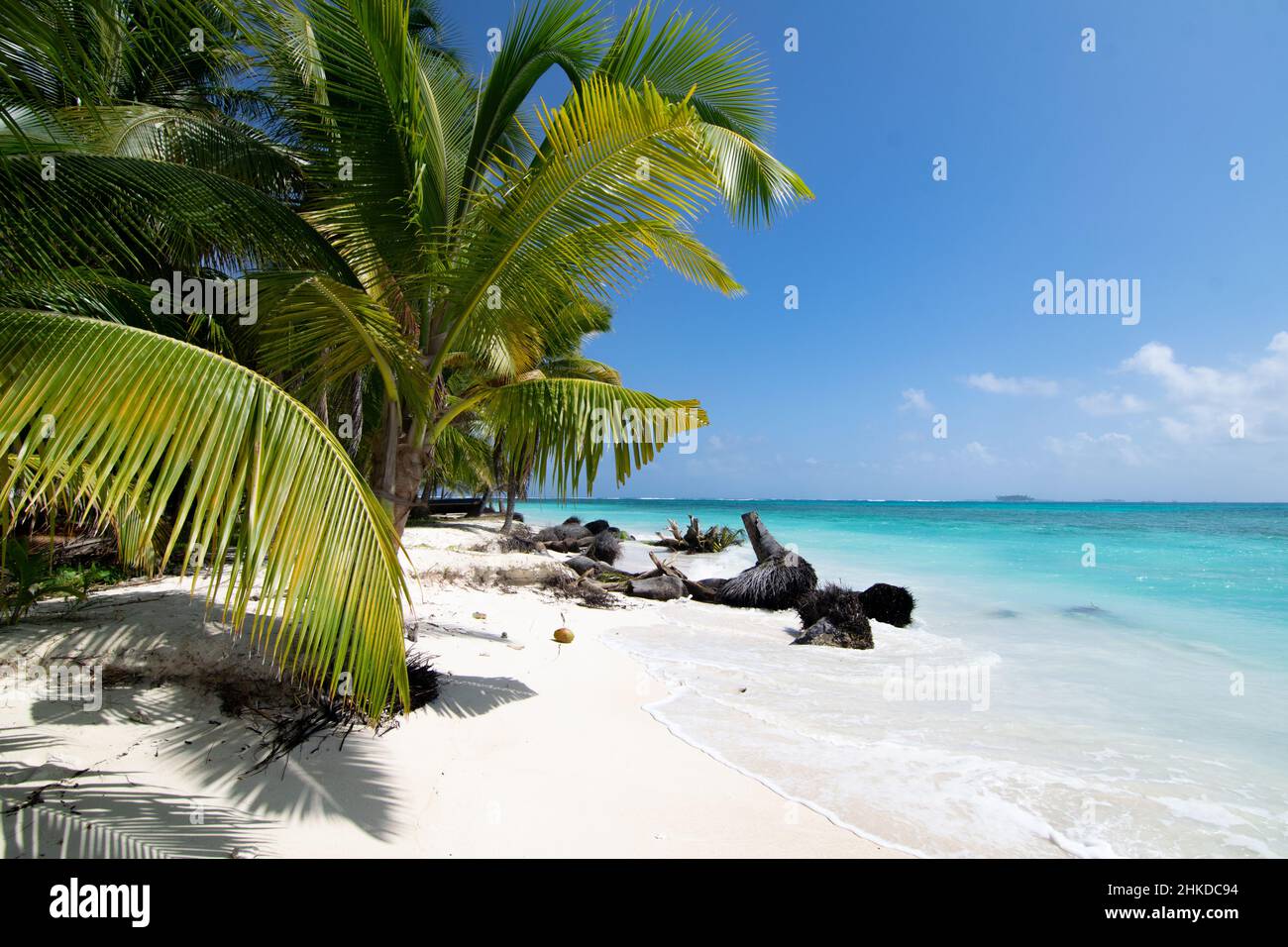 Unberührter Palmenstrand auf der Insel Chichime (San Blas) Stockfoto