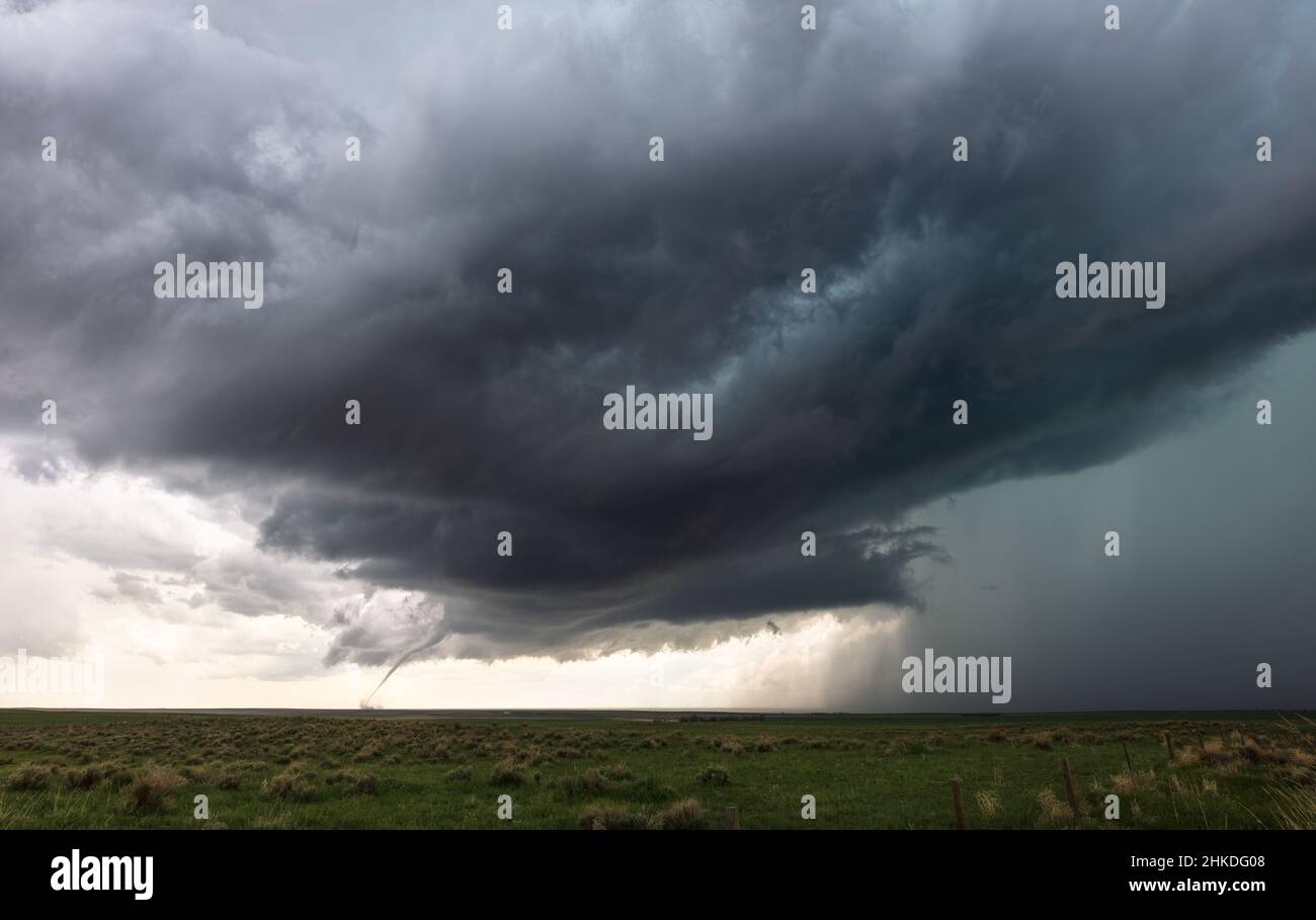 Tornado- und supercell-Gewitterwolken über einem Feld in der Ebene bei Akron, Colorado, USA Stockfoto