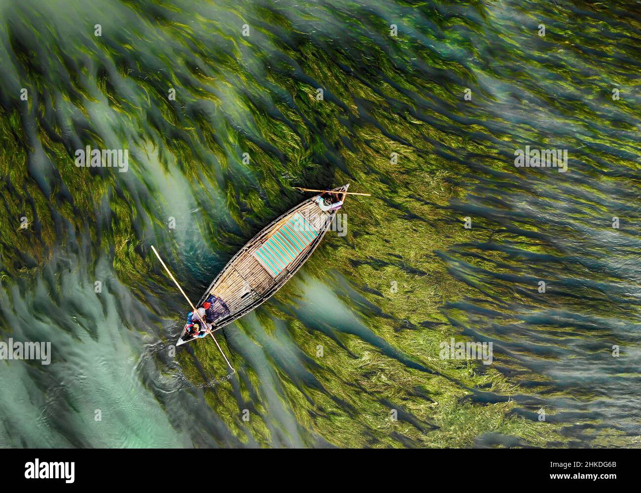 Luftaufnahme eines Bootes, das seinen Weg durch Algen, Bogra, Bangladesch, macht Stockfoto