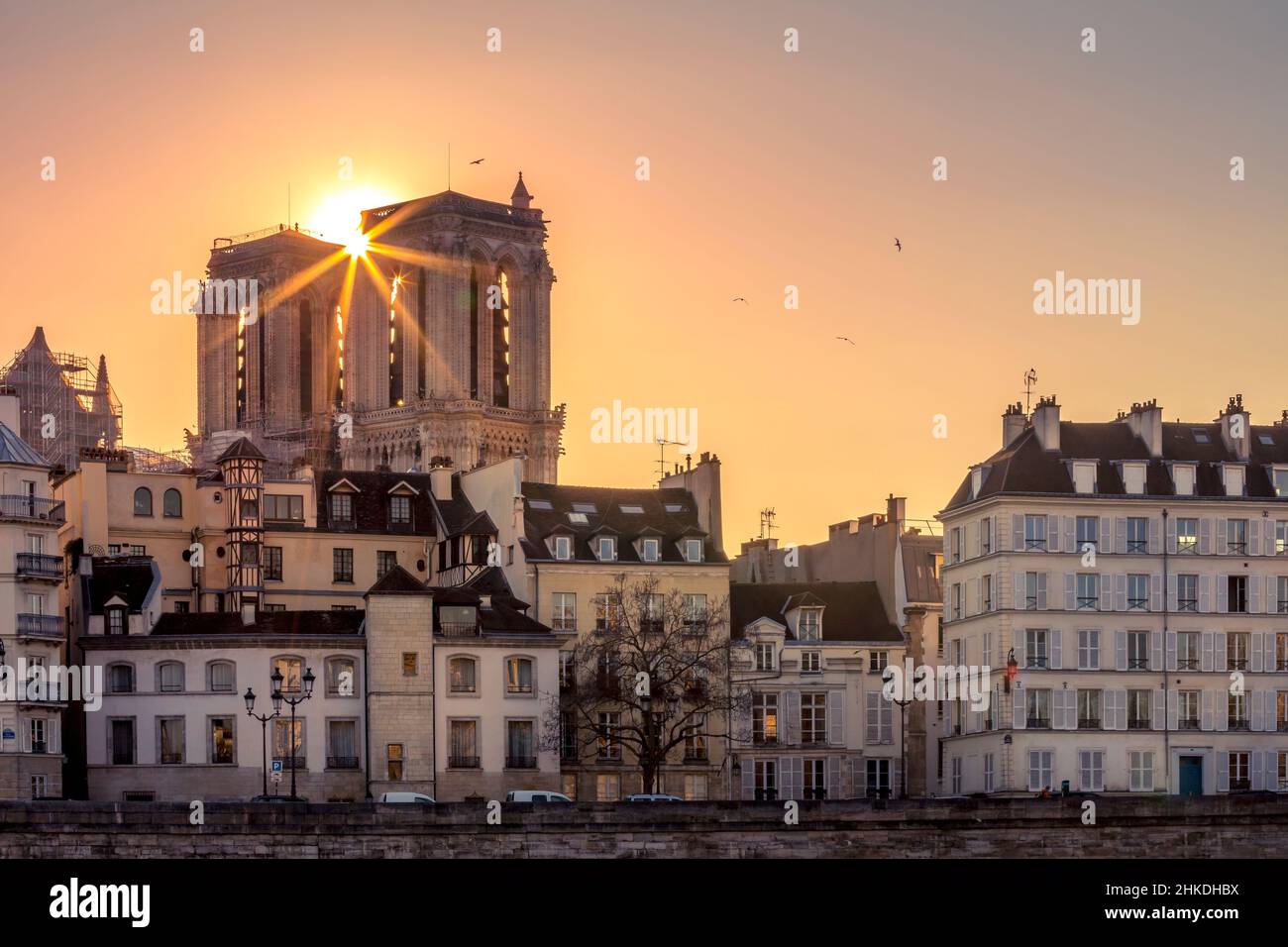 Paris, Frankreich - 1. März 2021: Wunderschöner Turm der Kathedrale Notre Dame mit Haussmannschen Gebäuden im Vordergrund in Paris bei Sonnenuntergang Stockfoto