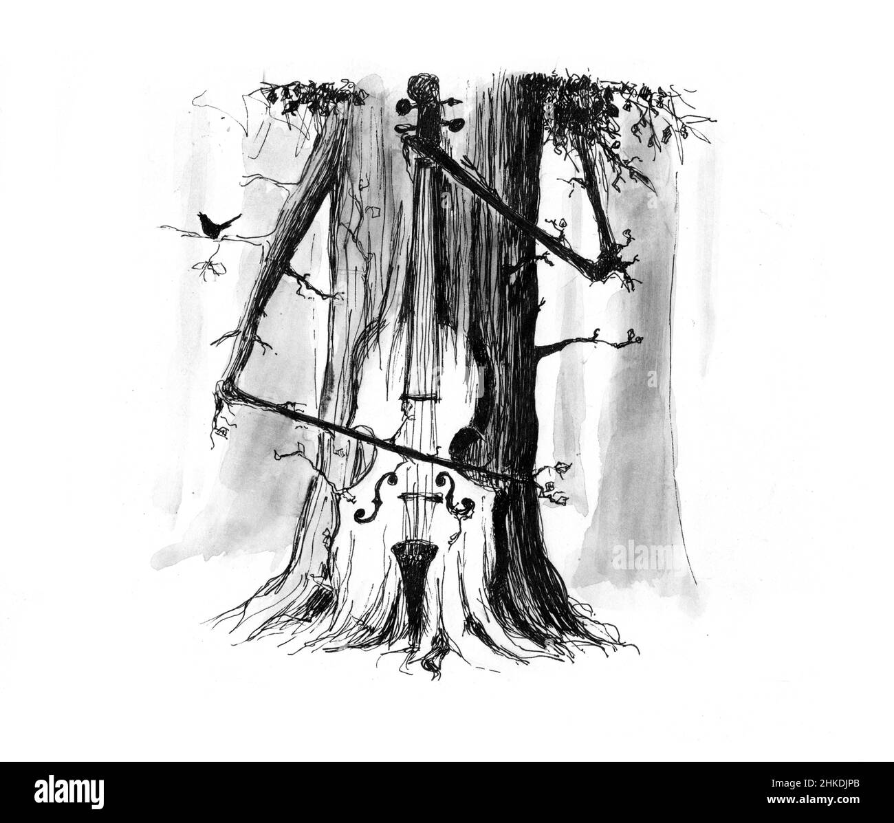 Naturmusik, Naturklänge, Entspannungsmusik. Diese Zeichnung veranschaulicht es. Ein Baum, der den Kontrabass spielt. Schwarz-weiße Stiftzeichnung. Aquarell Stockfoto