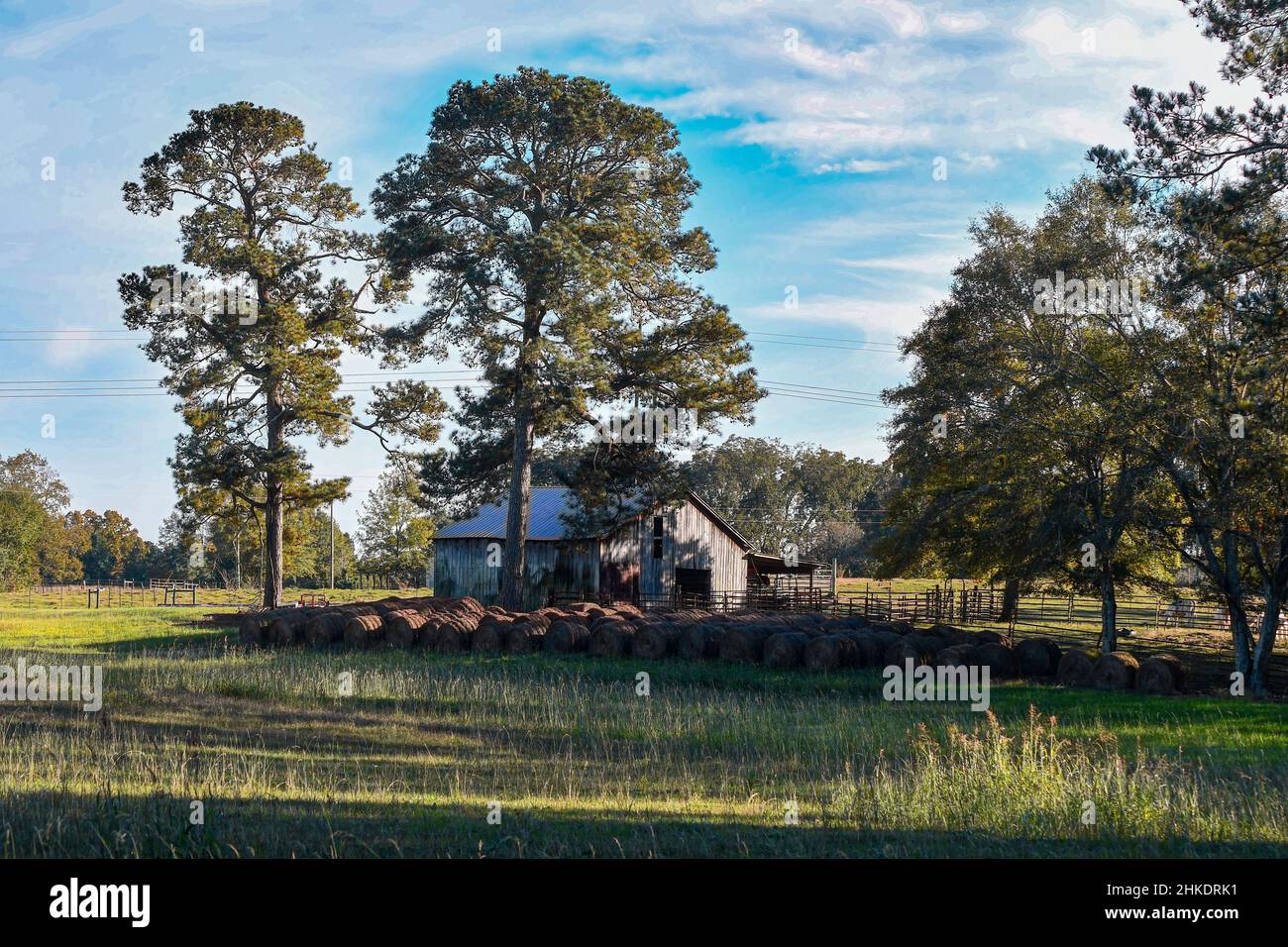 Bukolische Landschaft aus runden Heuballen, die in der Nähe einer Holzscheune im ländlichen Amerika gelagert werden. Stockfoto
