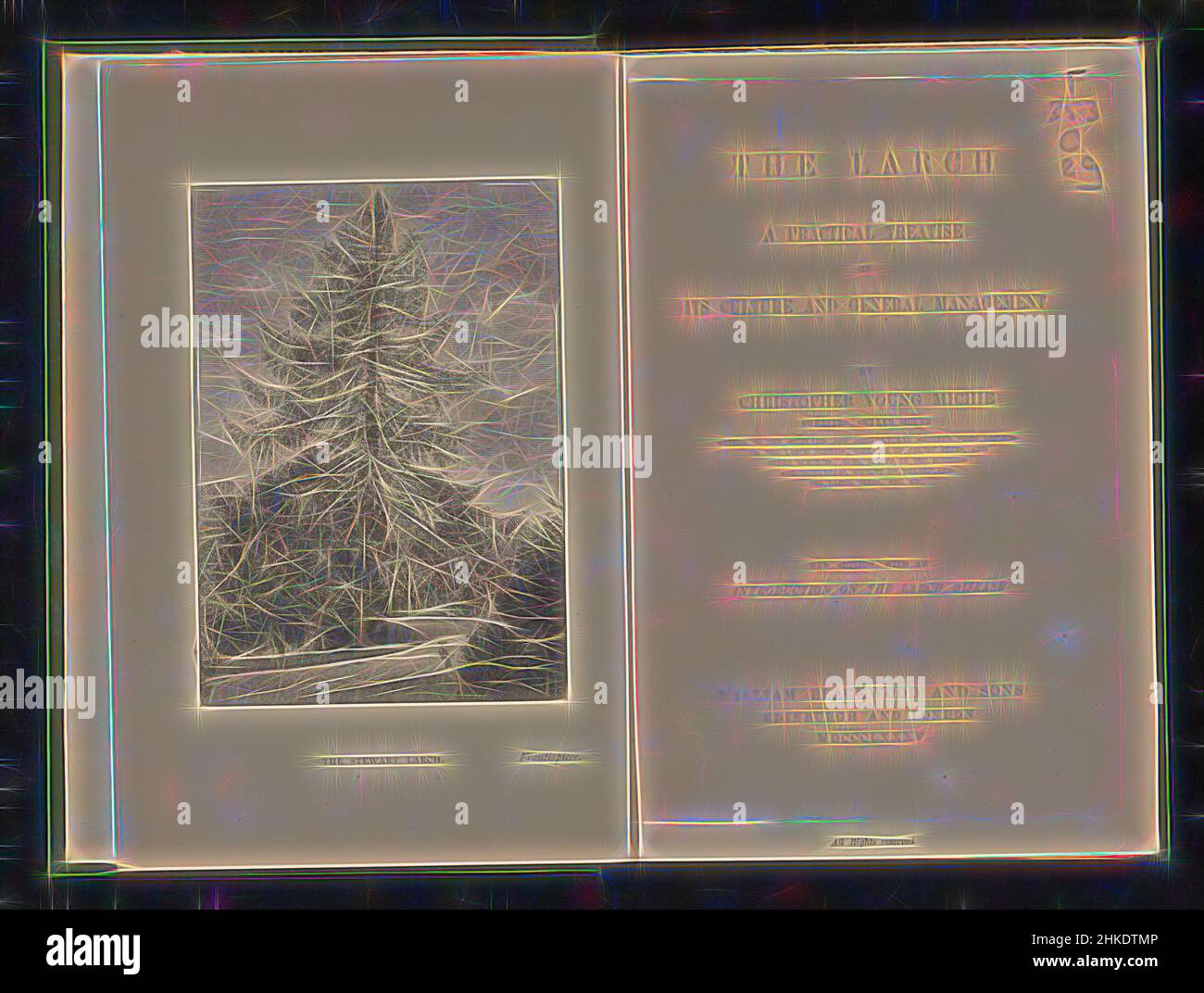 Inspiriert von Dunkeld Lärchen, George Washington Wilson, Dunkeld, c.. 1885, Papier, Höhe 91 mm × Breite 129 mm, neu gestaltet von Artotop. Klassische Kunst neu erfunden mit einem modernen Twist. Design von warmen fröhlichen Leuchten der Helligkeit und Lichtstrahl Strahlkraft. Fotografie inspiriert von Surrealismus und Futurismus, umarmt dynamische Energie der modernen Technologie, Bewegung, Geschwindigkeit und Kultur zu revolutionieren Stockfoto