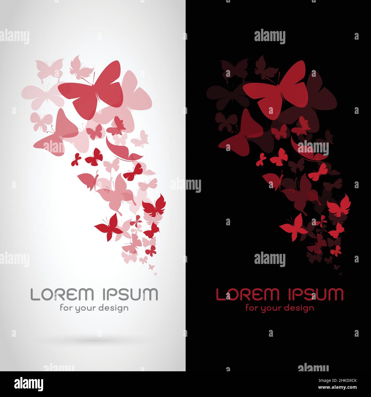 Vektor-Bild von Schmetterlingen auf weißem Hintergrund und schwarzem Hintergrund zu scharen. Leicht editierbare Vektorgrafik mit Ebenen. Stock Vektor