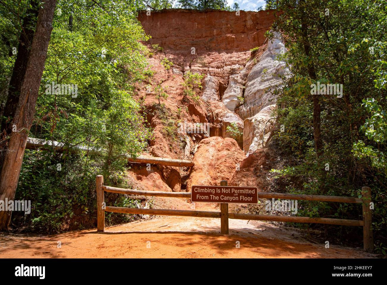 Lumpkin, Georgia, USA - 6. Juni 2021: Blick auf eine der Canyon-Wände ohne Kletterschild im Providence Canyon State Park im Südwesten von Georgia. Stockfoto