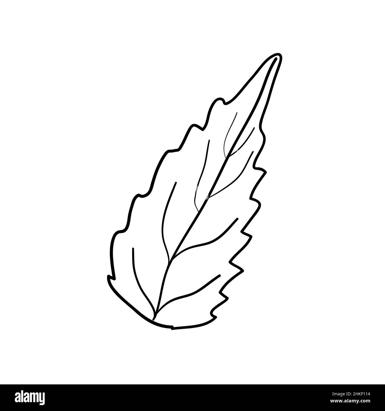 Handgefertigte florale Elemente und Blumen. Vektor-Doodle-Illustration Stock Vektor