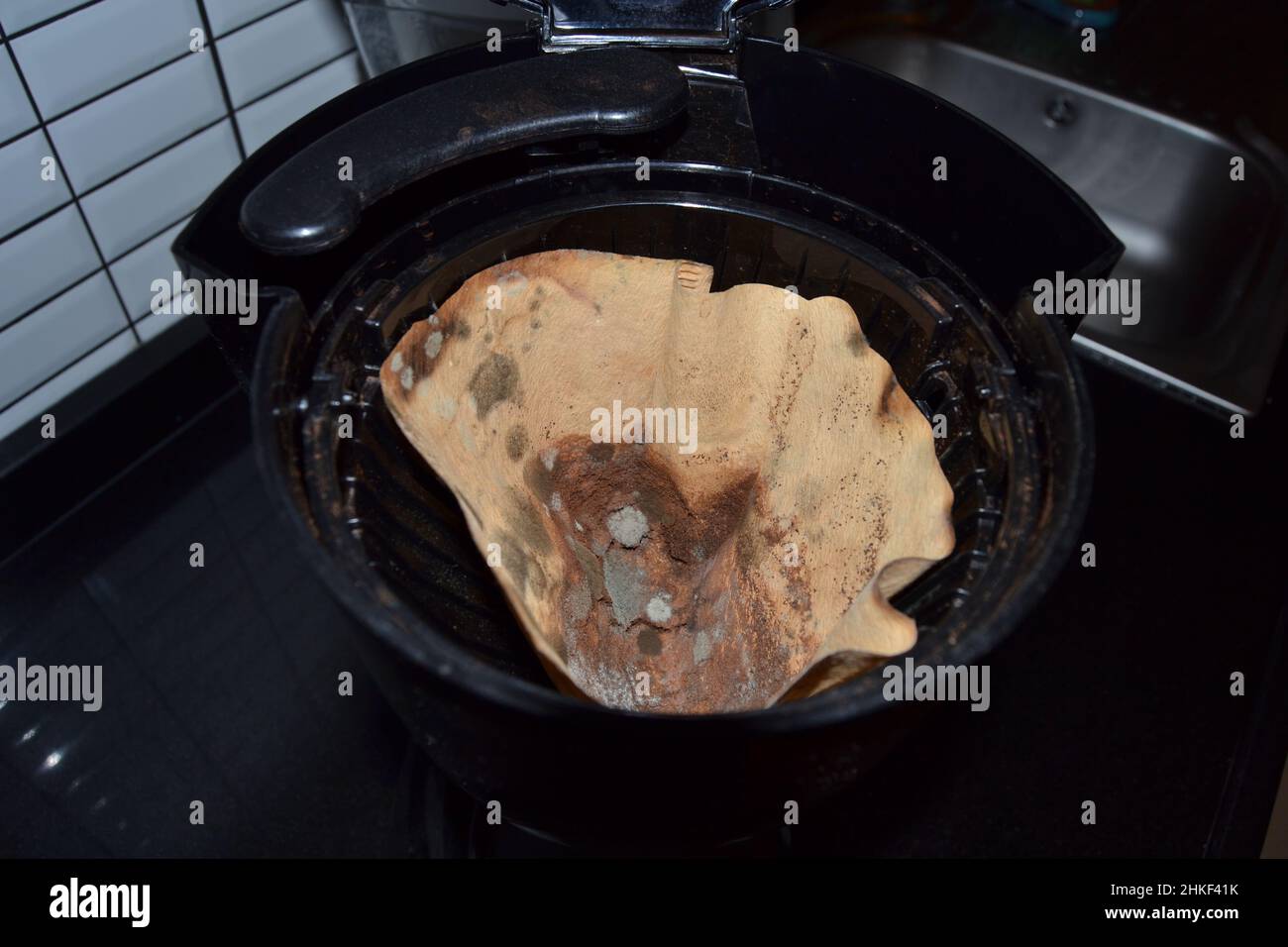 Schimmeliges Kaffeepapier - Pilz auf altem Kaffeefilter Stockfoto