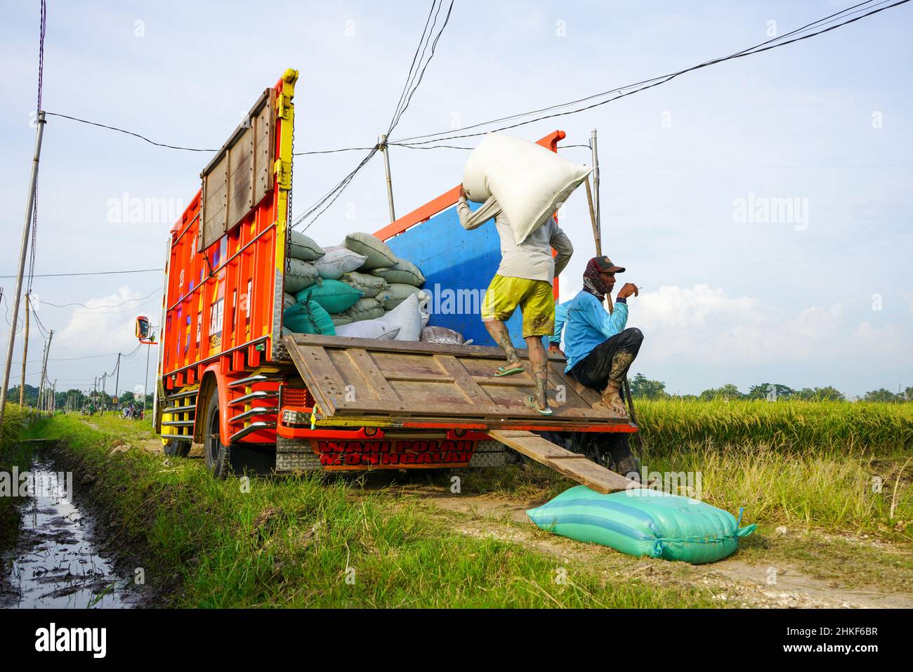 Pati, Indonesien - Januar, 2022 : die Aktivitäten der Bauern, die Reisernten in Reissäcke verpackt und mit Kühlern zum Verladen transportiert haben Stockfoto