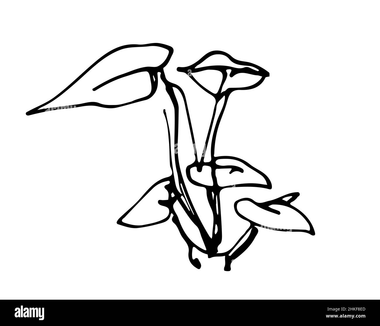 Eine Vektor-Illustration sprießen Pflanzen Tinte Grafiken Stockfoto