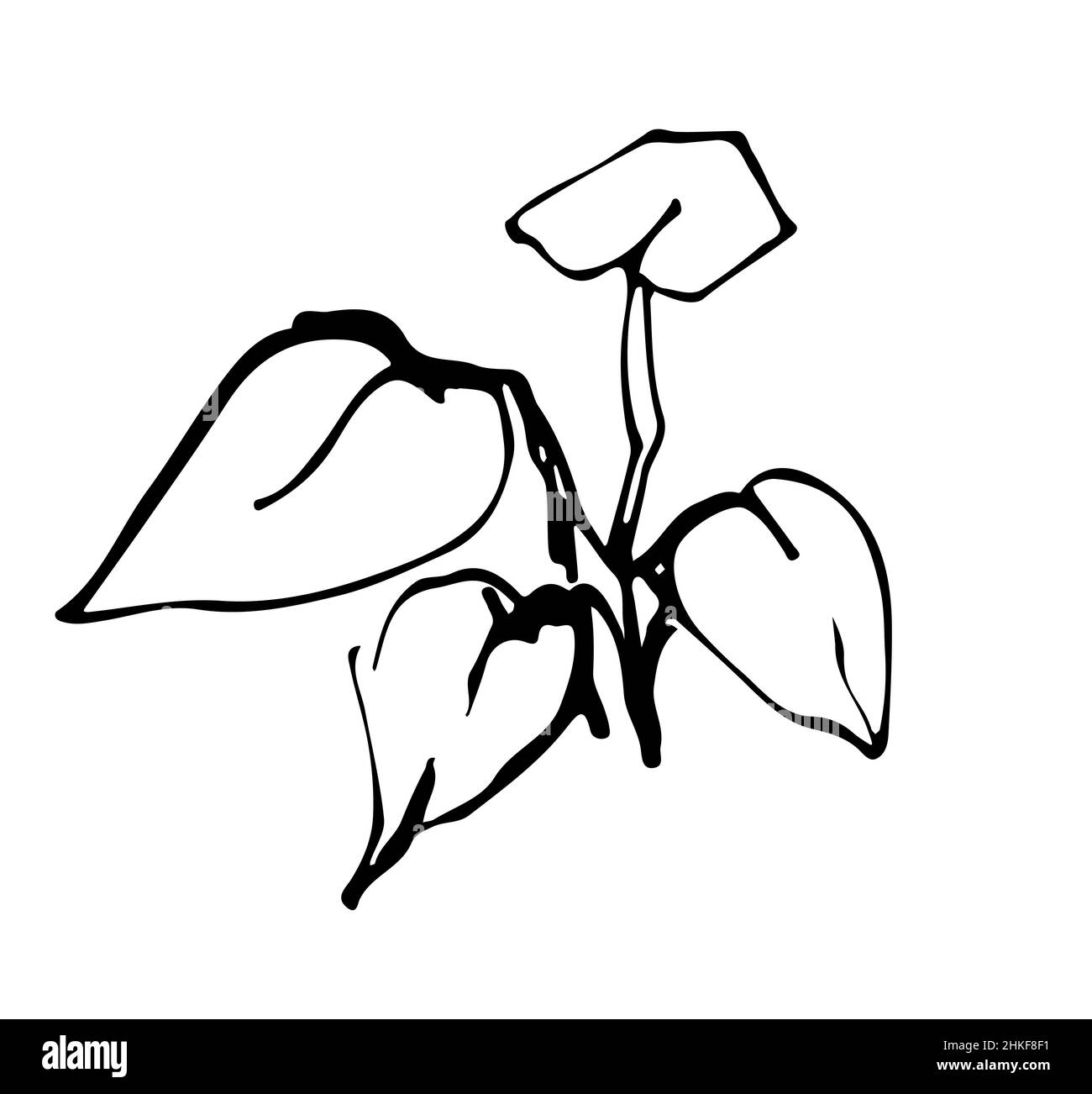 Eine Vektor-Illustration sprießen Pflanzen Tinte Grafiken Stockfoto