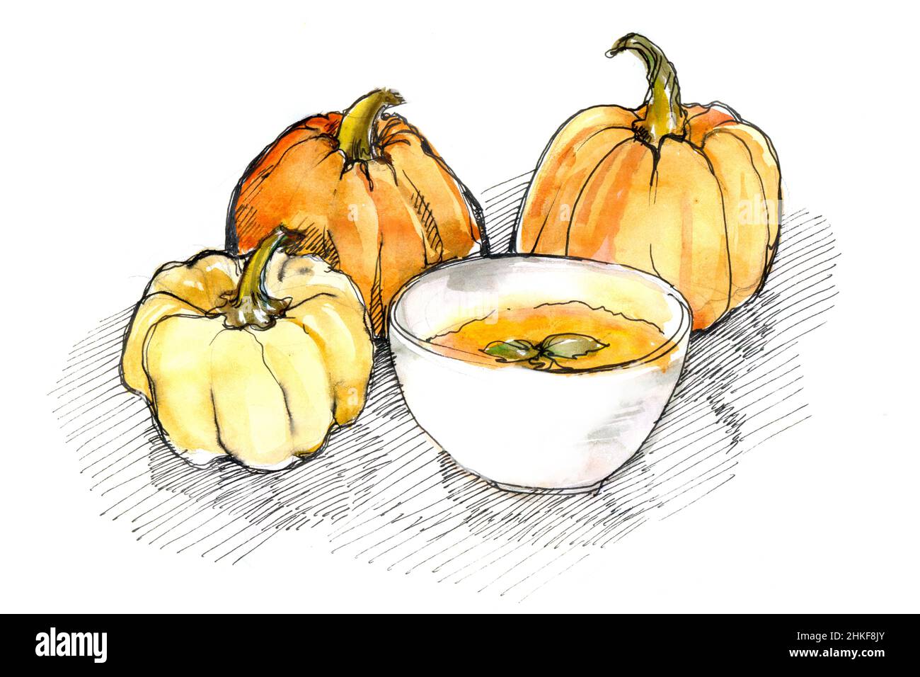 Aquarell-Zeichnung von drei Kürbissen und einer Schüssel Kürbissuppe Stockfoto