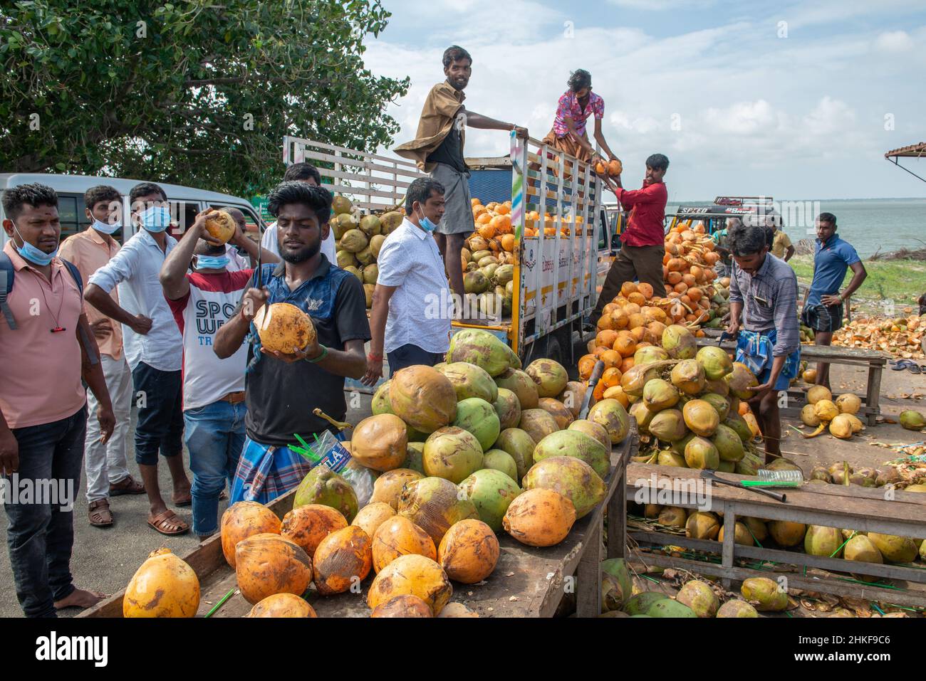 Rameswaram, Indien - Januar 2022: Ein Kokosnuss-Stall. Stockfoto