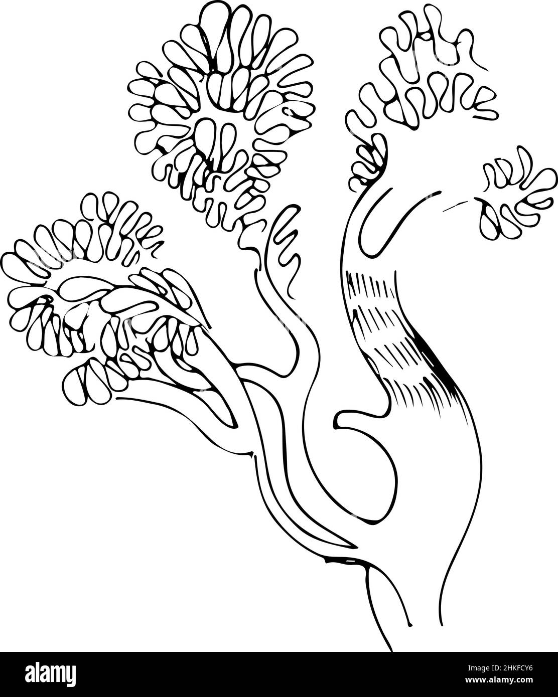 Ein abstraktes Vektorbild von schönen Pflanzen Stockfoto