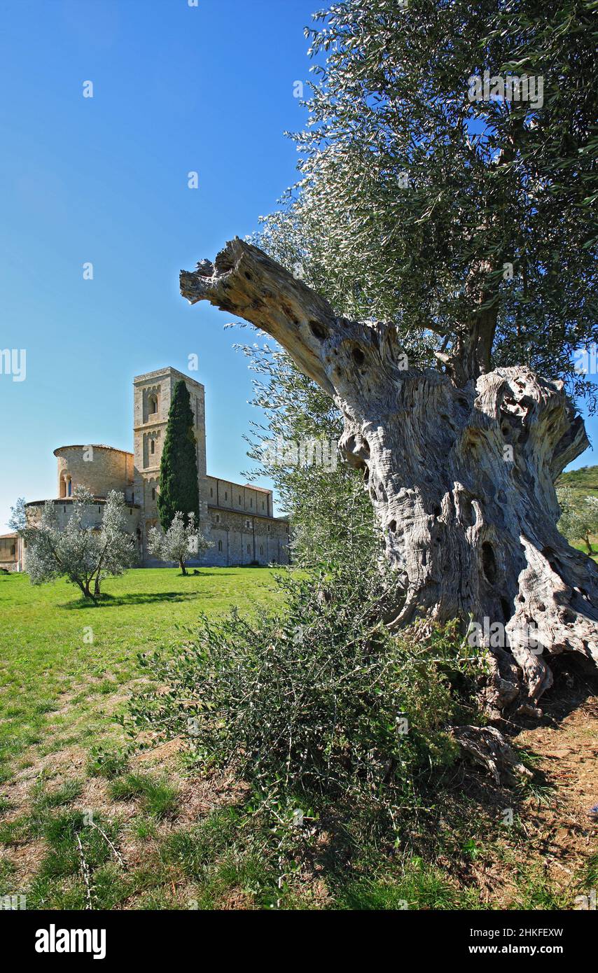 Minster und ehemalige Benediktinerabtei von Sant' AntiMo. In der