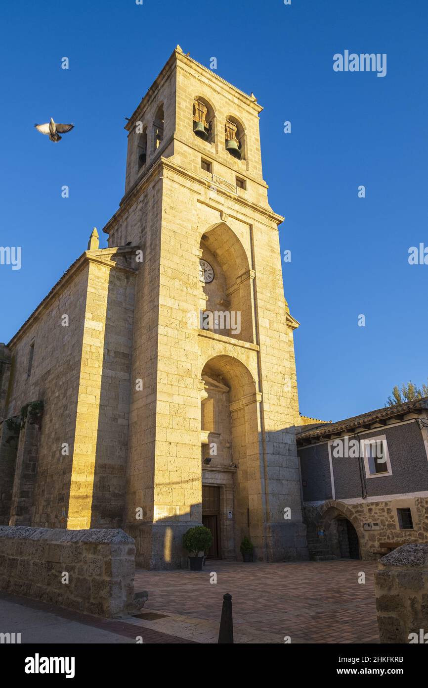 Spanien, Kastilien und León, Hontanas, Bühne auf dem Camino Francés, der spanischen Pilgerroute nach Santiago de Compostela, die zum UNESCO-Weltkulturerbe gehört, Kirche der Unbefleckten Empfängnis Stockfoto