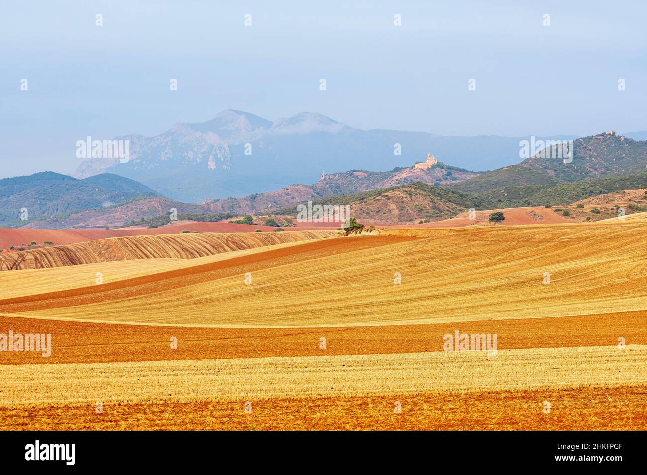 Spanien, Navarra, Umgebung von Villamayor de Monjardin, Landschaft auf dem Camino Francés, spanische Pilgerroute nach Santiago de Compostela, UNESCO-Weltkulturerbe Stockfoto