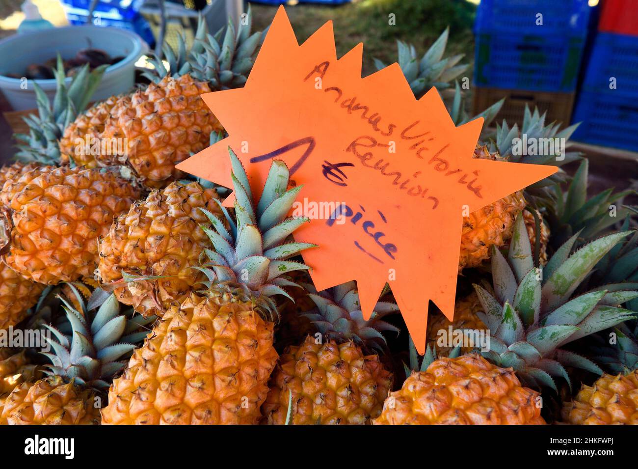 Frankreich, Réunion Island (französisches Überseedepartement), Saint-Pierre, der Samstagsmarkt, die Ananas-Obststände Stockfoto