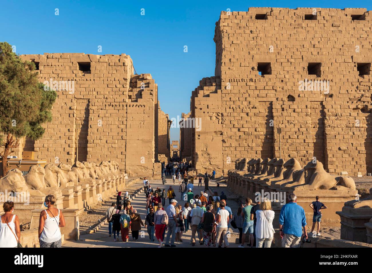 Ägypten, Oberägypten, Niltal, Luxor, Karnak-Tempel, Von der UNESCO zum Weltkulturerbe erklärt, Ruinen Stockfoto