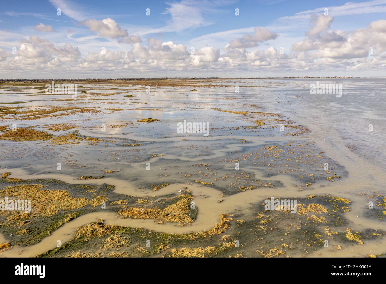 Frankreich, Somme, Somme-Bucht, Saint-Valery-sur-Somme, Kap Hornu, große Herbstflut am Kap Hornu füllen sich zuerst die Bäche und dann bedeckt das Meer den Vorlauf Stockfoto