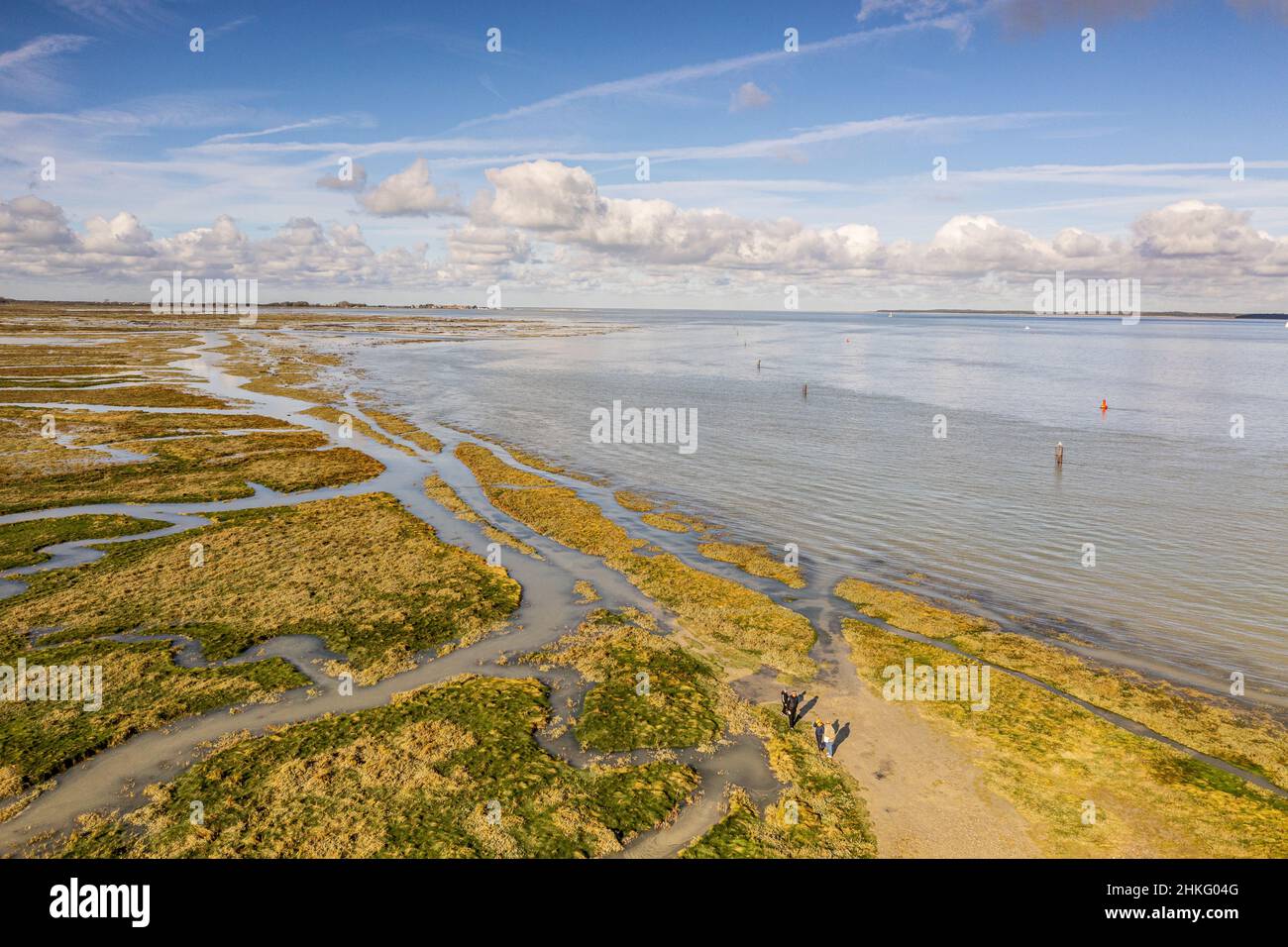 Frankreich, Somme, Somme-Bucht, Saint-Valery-sur-Somme, Kap Hornu, große Herbstflut am Kap Hornu füllen sich zuerst die Bäche und dann bedeckt das Meer den Vorlauf Stockfoto