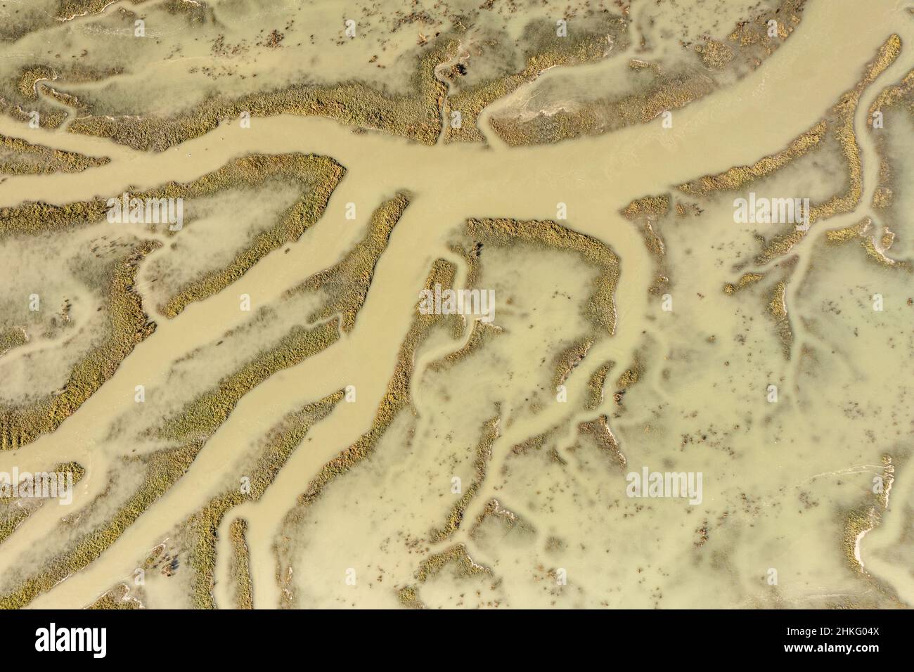 Frankreich, Somme, Somme-Bucht, Saint-Valery-sur-Somme, Kap Hornu, große Herbstflut am Kap Hornu füllen sich zuerst die Bäche und dann bedeckt das Meer den Vorlauf Stockfoto