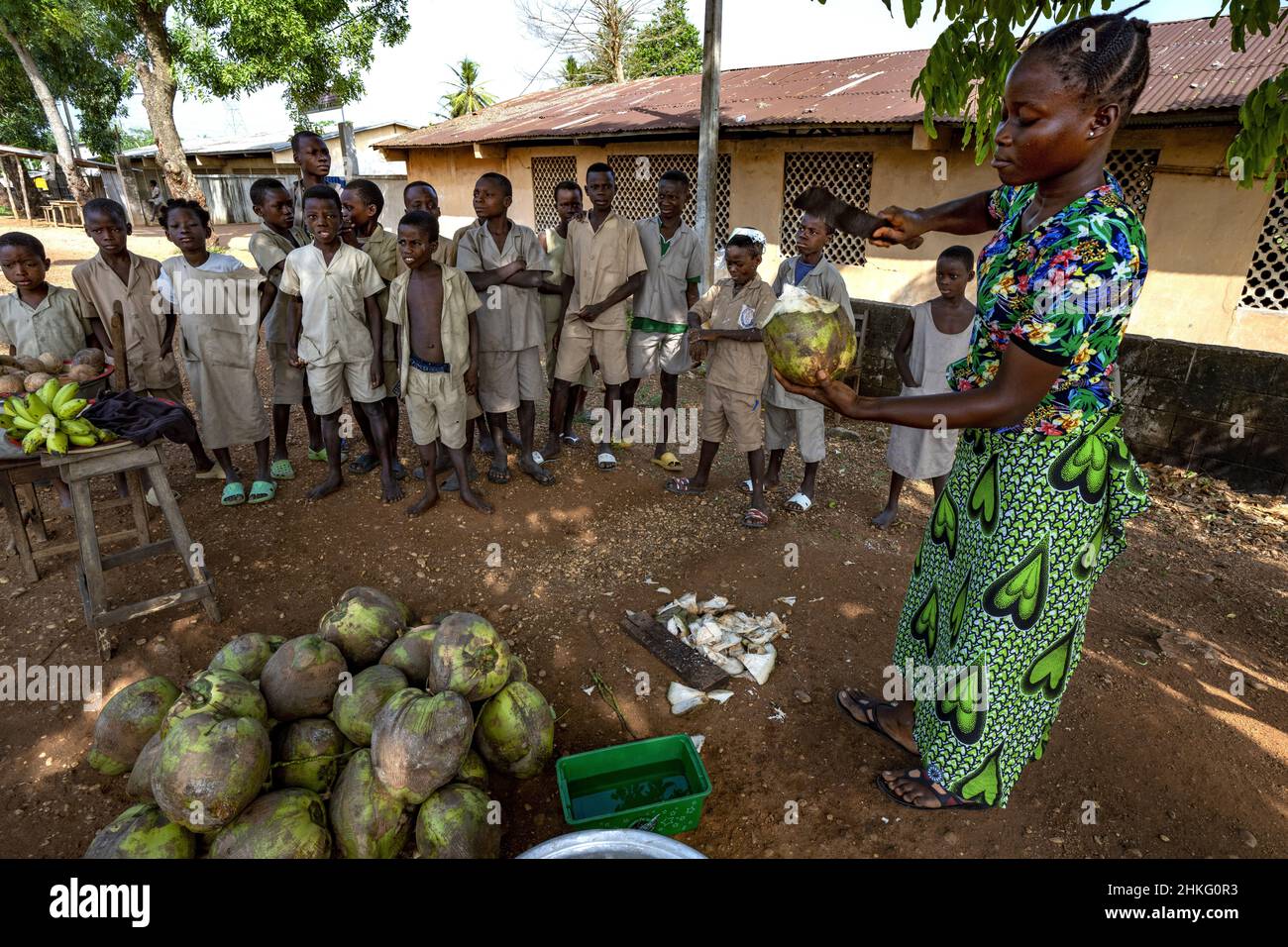 Benin, Zoungbonou, Kokosnüsse für die Schulkinder Stockfoto