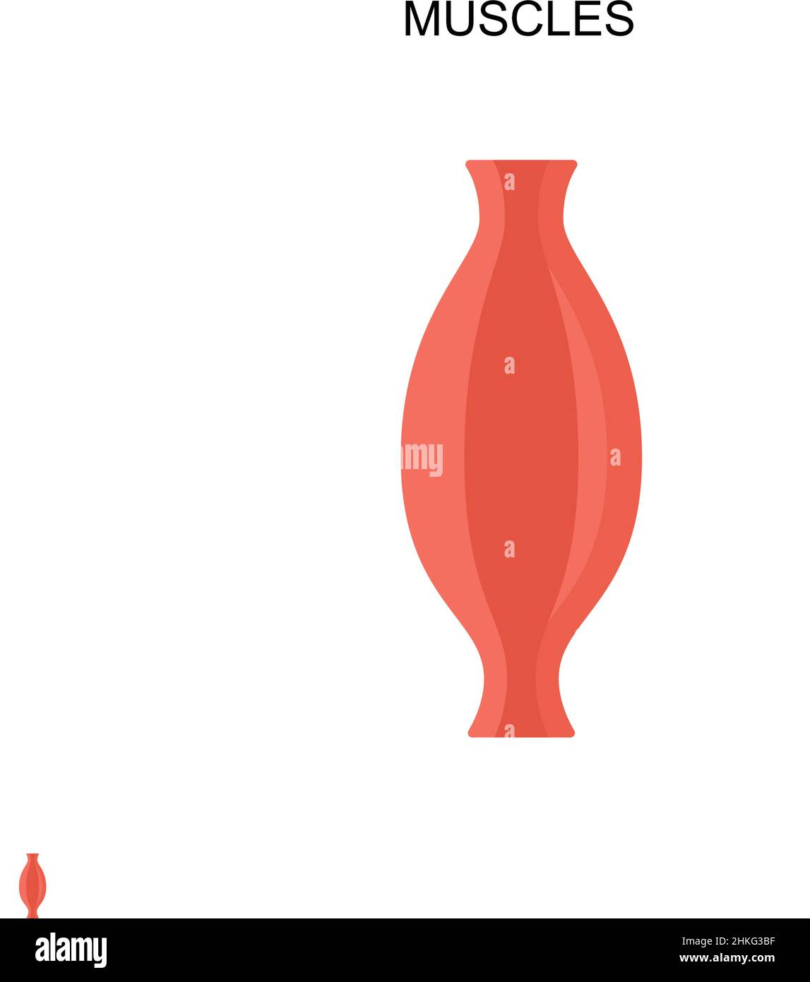 Muskel einfaches Vektor-Symbol. Illustration Symbol Design-Vorlage für Web mobile UI-Element. Stock Vektor