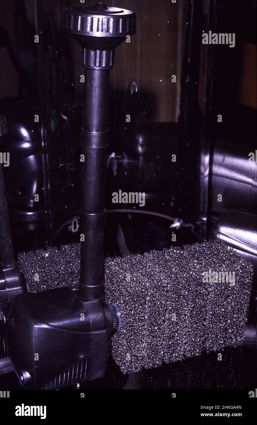 Tauchpumpenfilter für Teich und Brunnen, mit Wasserspray und Schwammfilterpatrone Stockfoto
