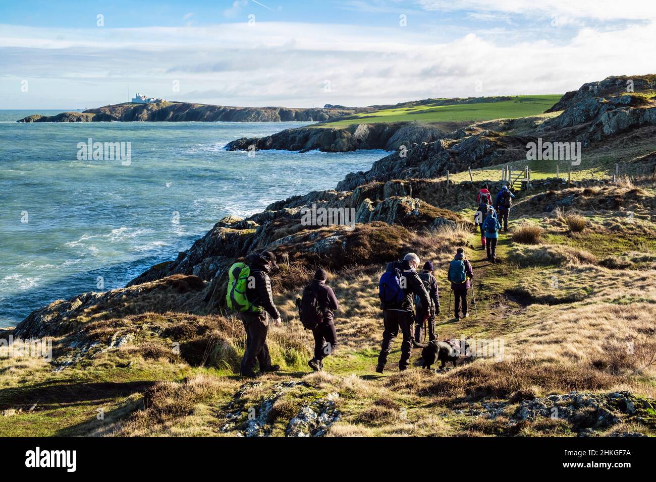 Spaziergänger, die von Amlwch nach Llaneilian auf dem Anglesey Coastal Path wandern, mit Blick entlang der felsigen Küste bis zum Point Lynas. Isle of Anglesey, Nordwales, Großbritannien Stockfoto