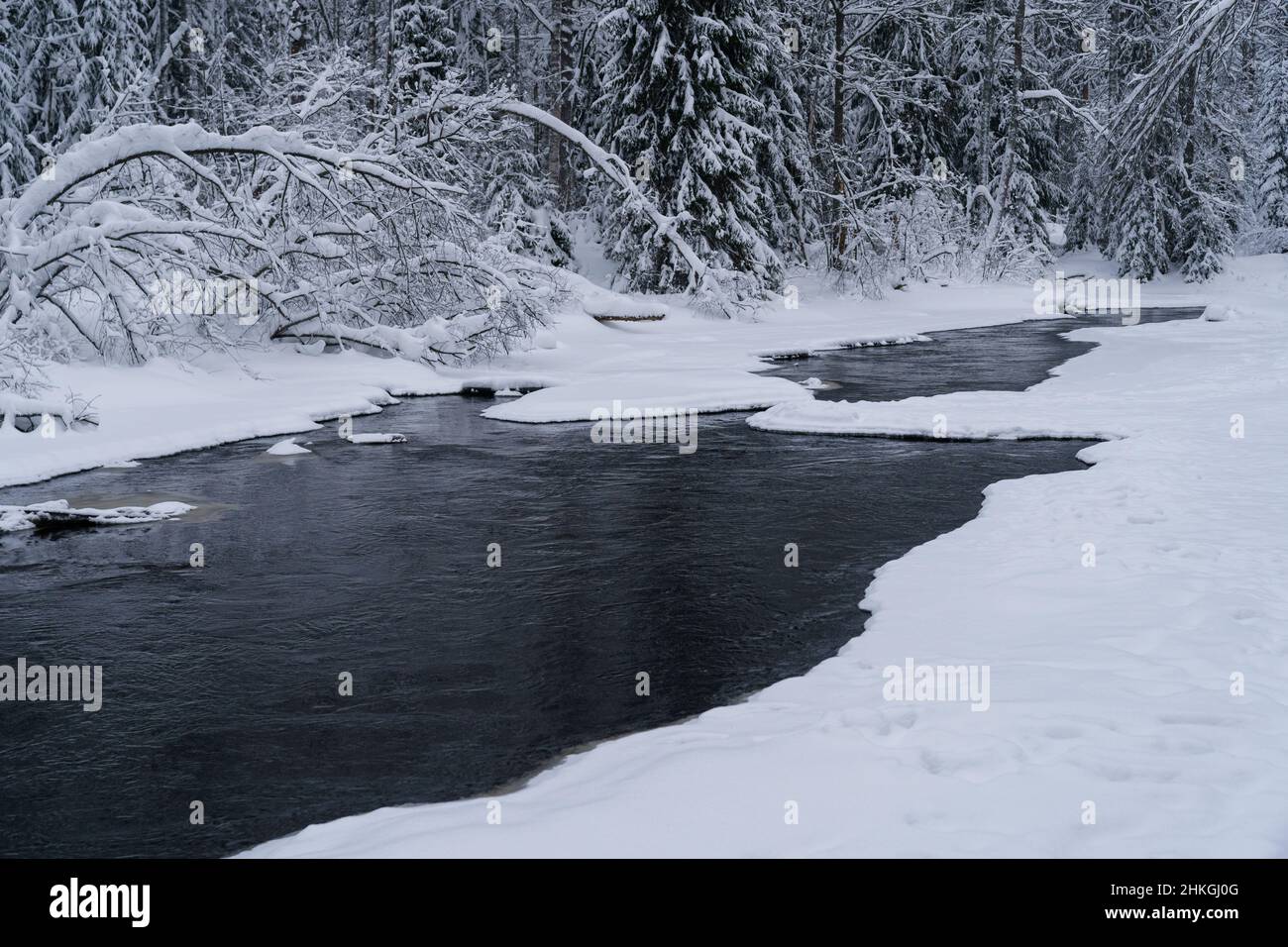 Eisfrei laufender Fluss im verschneiten Wald an einem düsteren kalten Wintertag Stockfoto