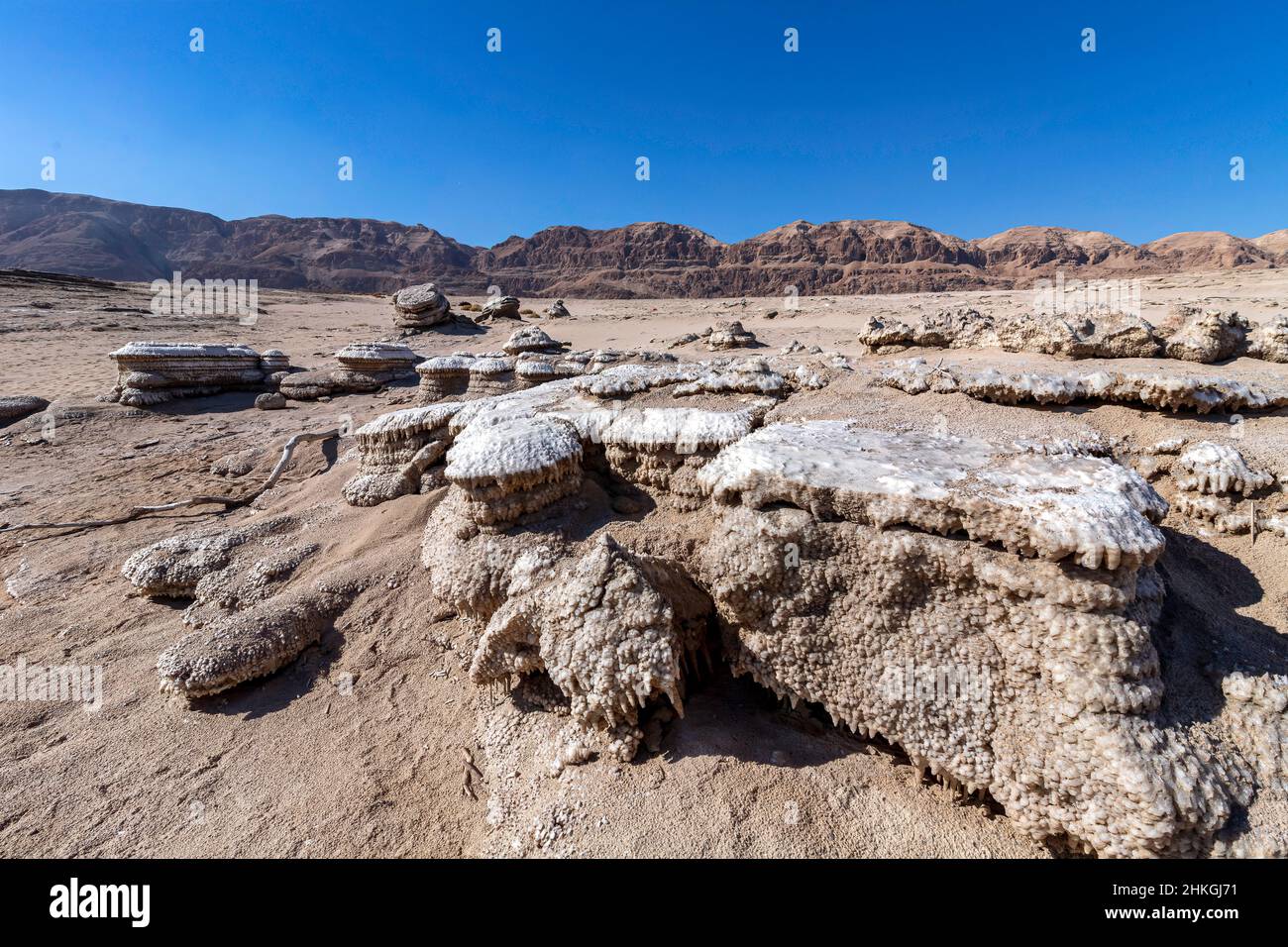 Ökologische Katastrophe des Toten Meeres. Erosion und Salzbildung auf der Erdoberfläche. Stockfoto