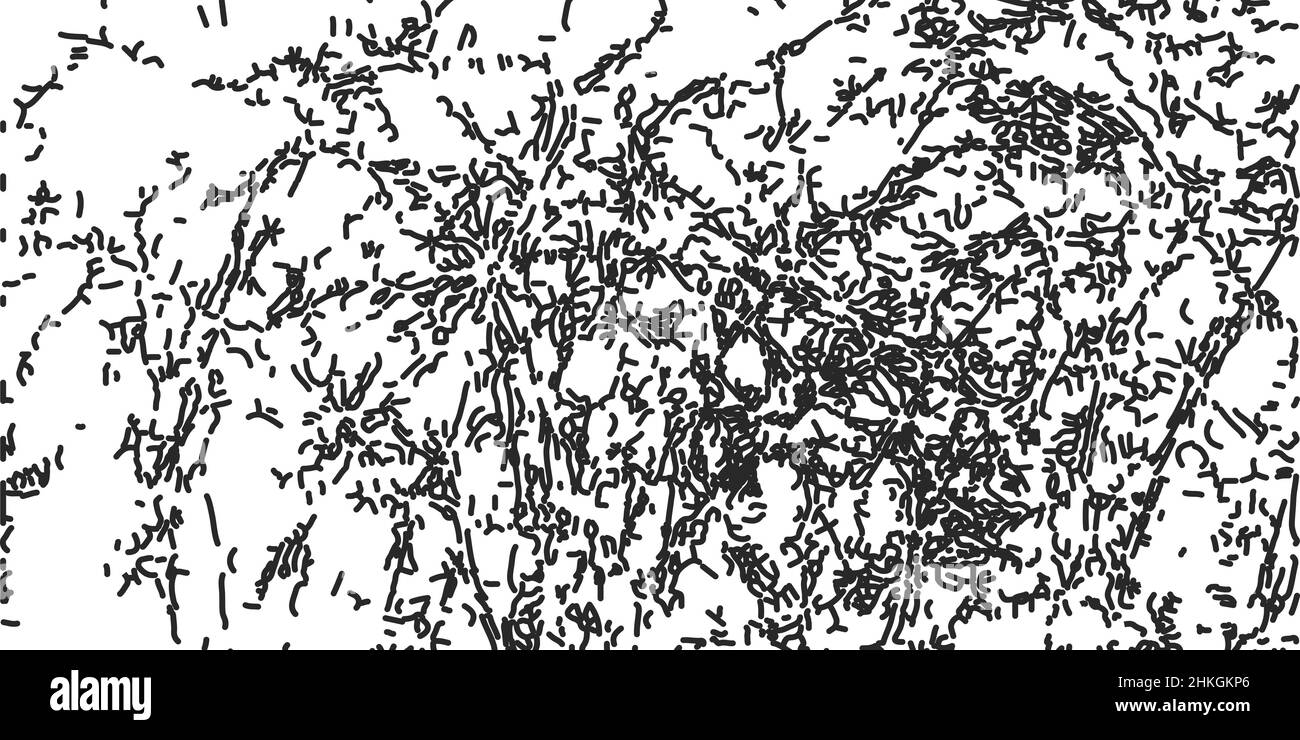 Abstrakter Grunge-Hintergrund. Vektorgrafik. Monochromer chaotischer Hintergrund Stock Vektor