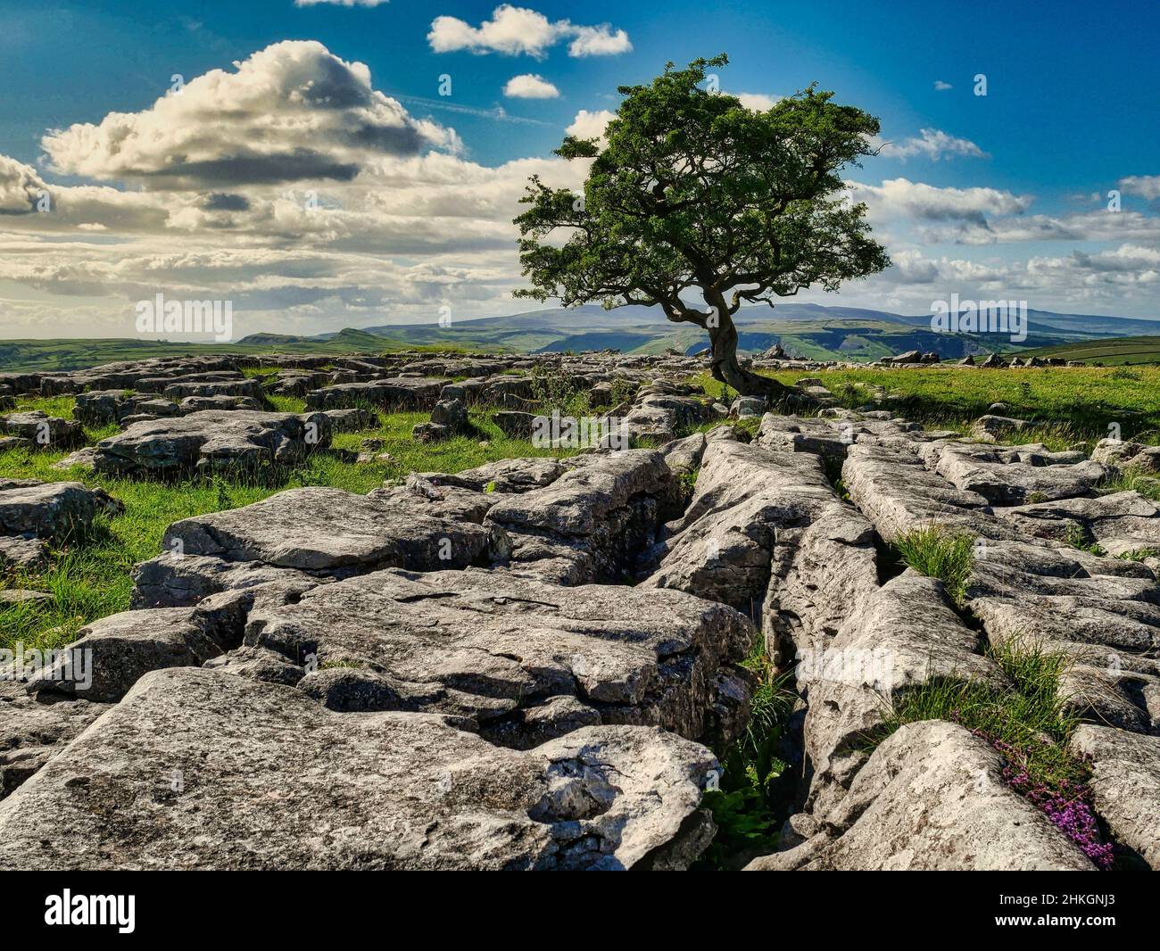 Winskill steinigt Malham Yorkshire Dales Stockfoto