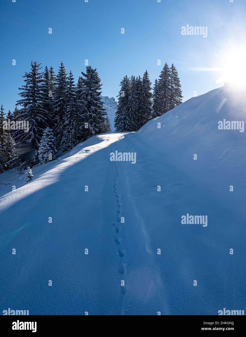 Fußspuren im Schnee, die von Menschen gemacht werden, die zum Wandern ...