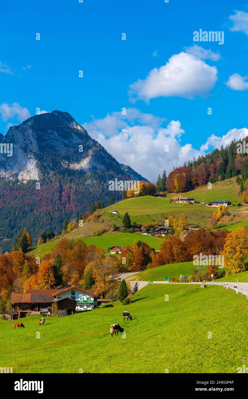 Entlang der Alpenstraße bei Ramsau, Berchtesgadener Land, Bayerische Alpen, Oberbayern, Süddeutschland, Mitteleuropa Stockfoto