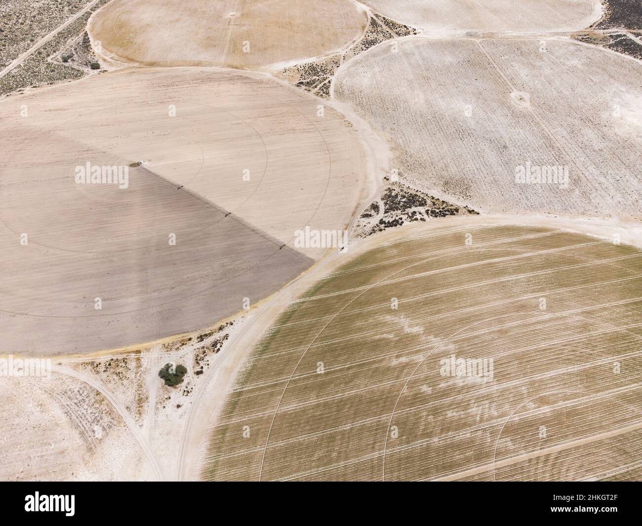 Pivot Bewässerung, Südafrika Stockfoto