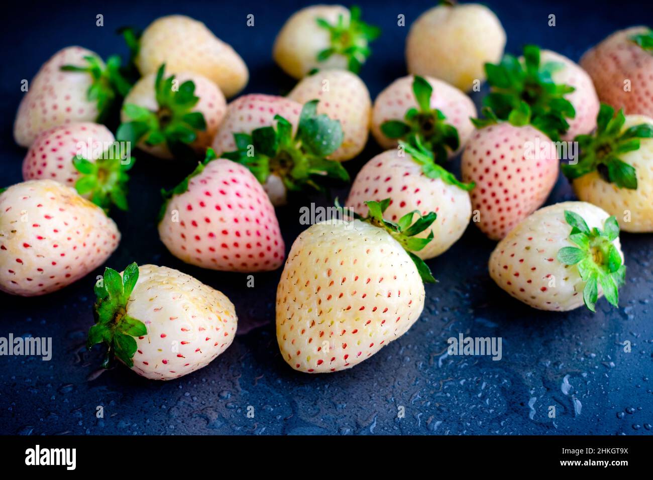 Frisch gewaschene weiße Pineberries auf dunklem Hintergrund: Nahaufnahme von weißen Erdbeeren, die mit Wasser besprüht wurden Stockfoto